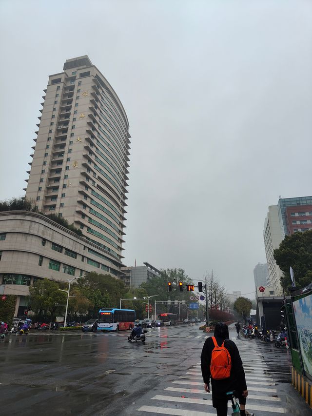 IMG 20230322 094935